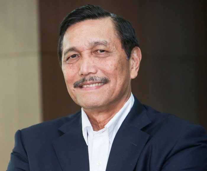 Lhkpn luhut binsar panjaitan