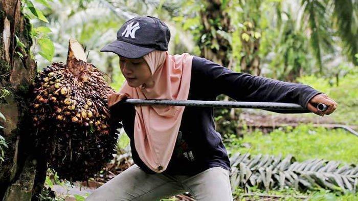 Perempuan pekerja keras