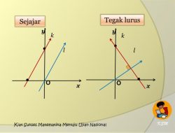 Garis Sejajar: Konsep, Jenis, dan Pentingnya dalam Kehidupan